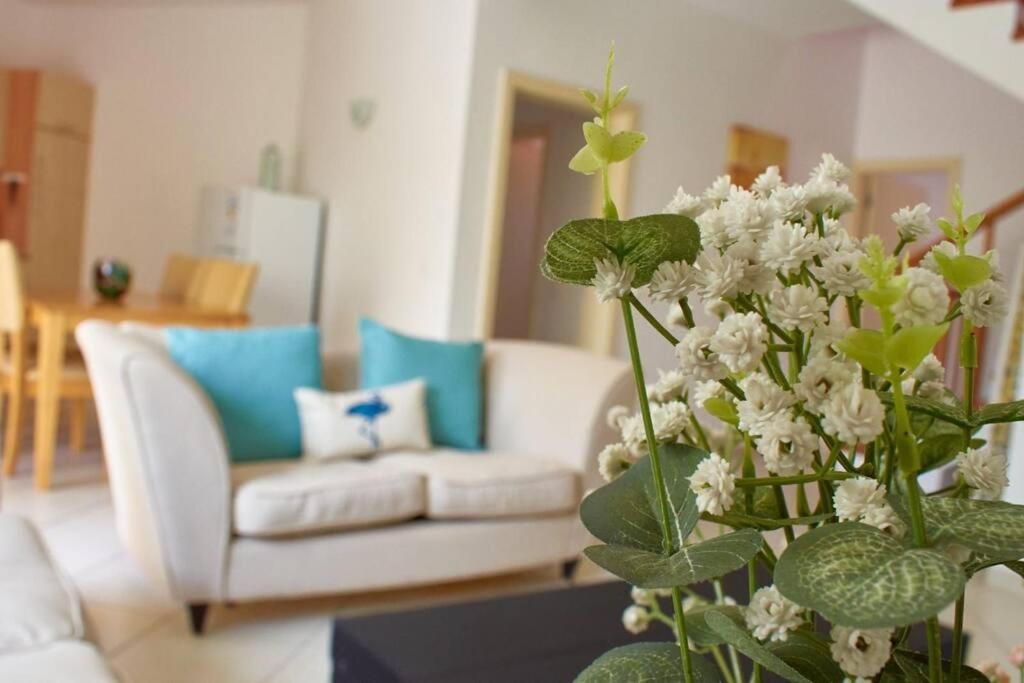 Apartamento T3 Encantador Com Piscina Wifi E Perto De Santa Maria